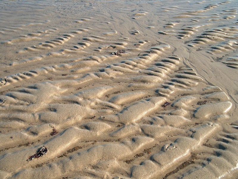 Starlit Beach